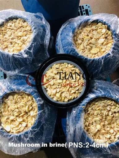 ड्रम में ब्राइन में उच्च गुणवत्ता मशरूम