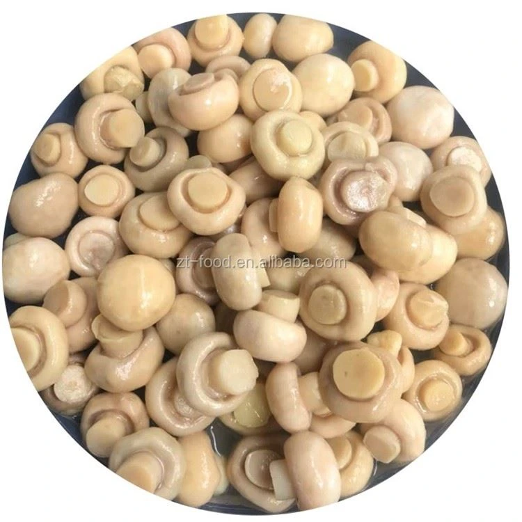 Whole white champignon mushroom in salted water in drums Whole white champignon mushroom in salted water in drums