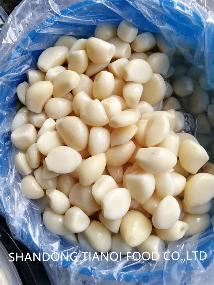 Preserved normal white garlic cloves in salted water in drums