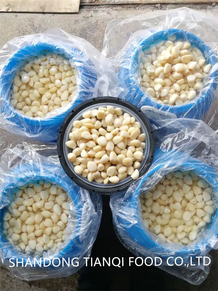 Wholesale Chinese fresh white garlic in brine in drums