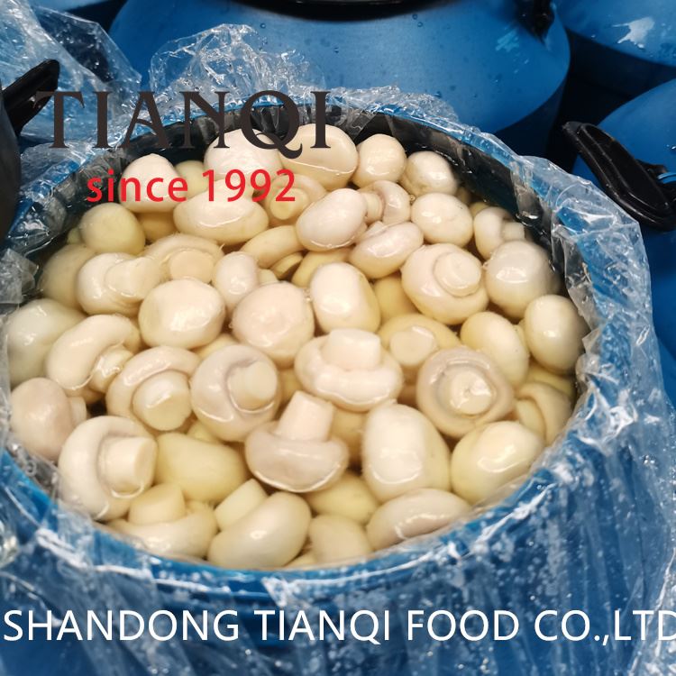 White whole mushroom in plastic drums White whole mushroom in plastic drums