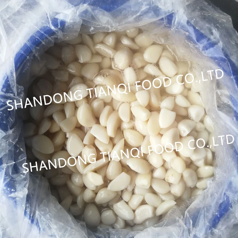 Salty normal white garlic in drums Salty normal white garlic in drums