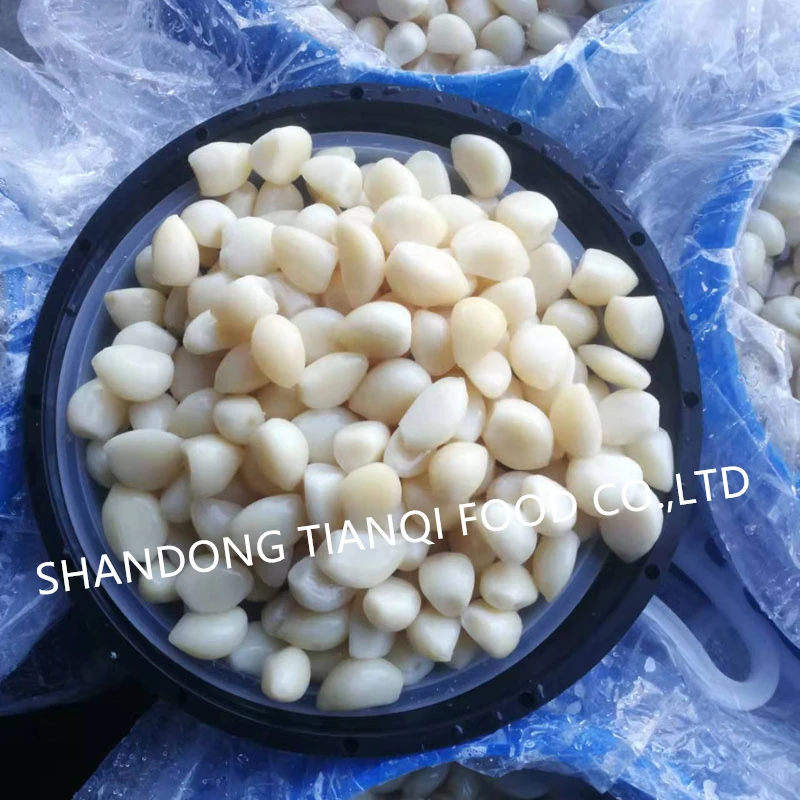 White garlic in salted water in barrel White garlic in salted water in barrel