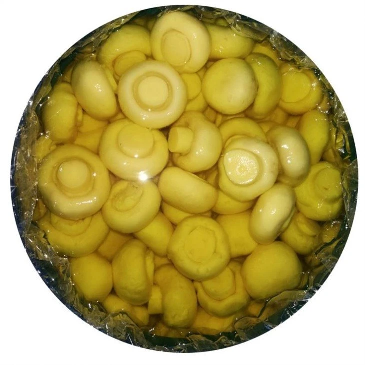 Whole champignon mushroom in brine in drums