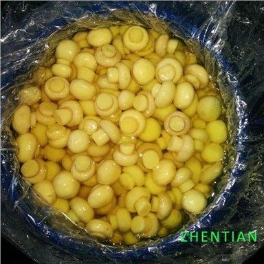 ड्रम में पूरे मशरूम