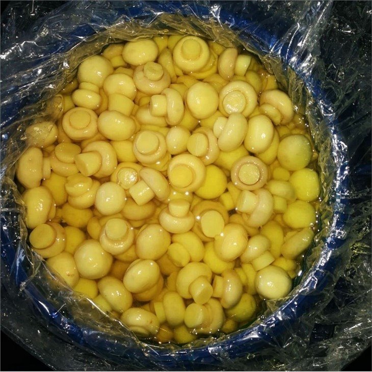 Whole white mushroom in SO2 in barrels