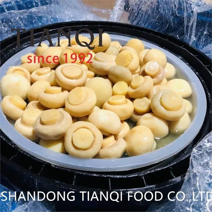 premium mushroom in brine drums