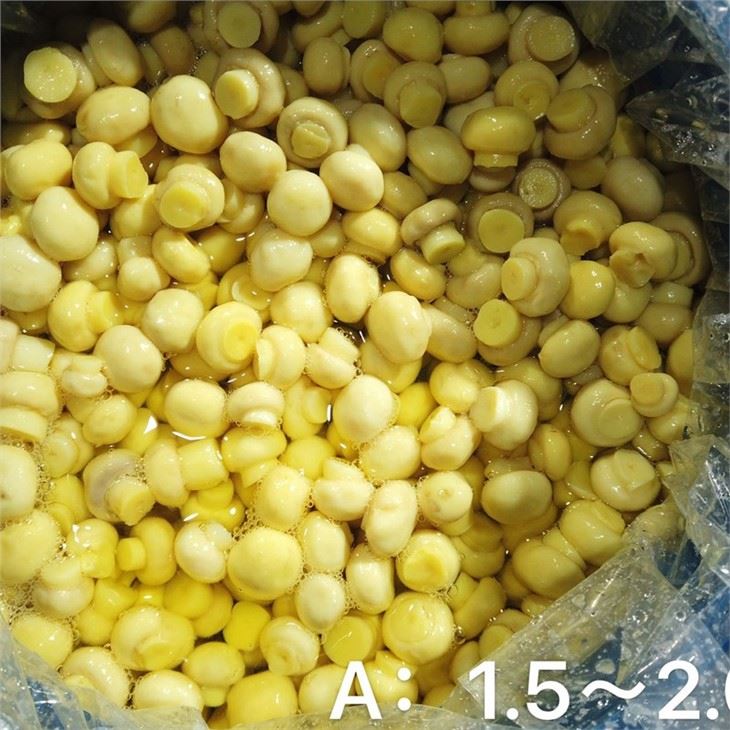ताजा संरक्षित Champignon ड्रम में सफेद मशरूम