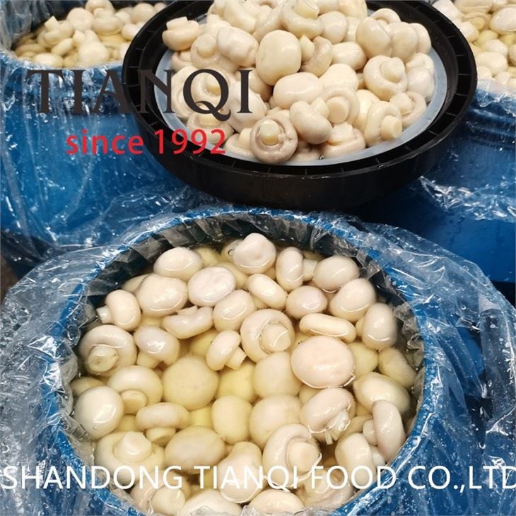 White champignon mushroom in salty water in drums