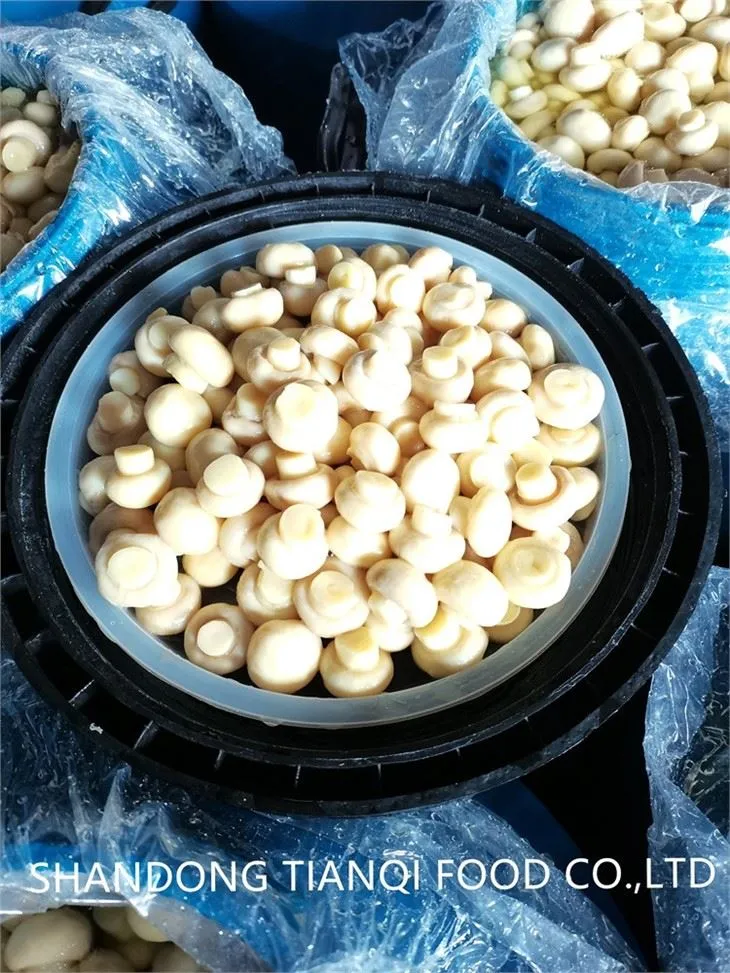 Whole white  mushroom in vinegar in drums