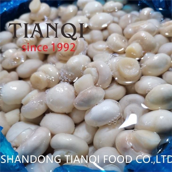 Brine white champignon mushroom in big drum