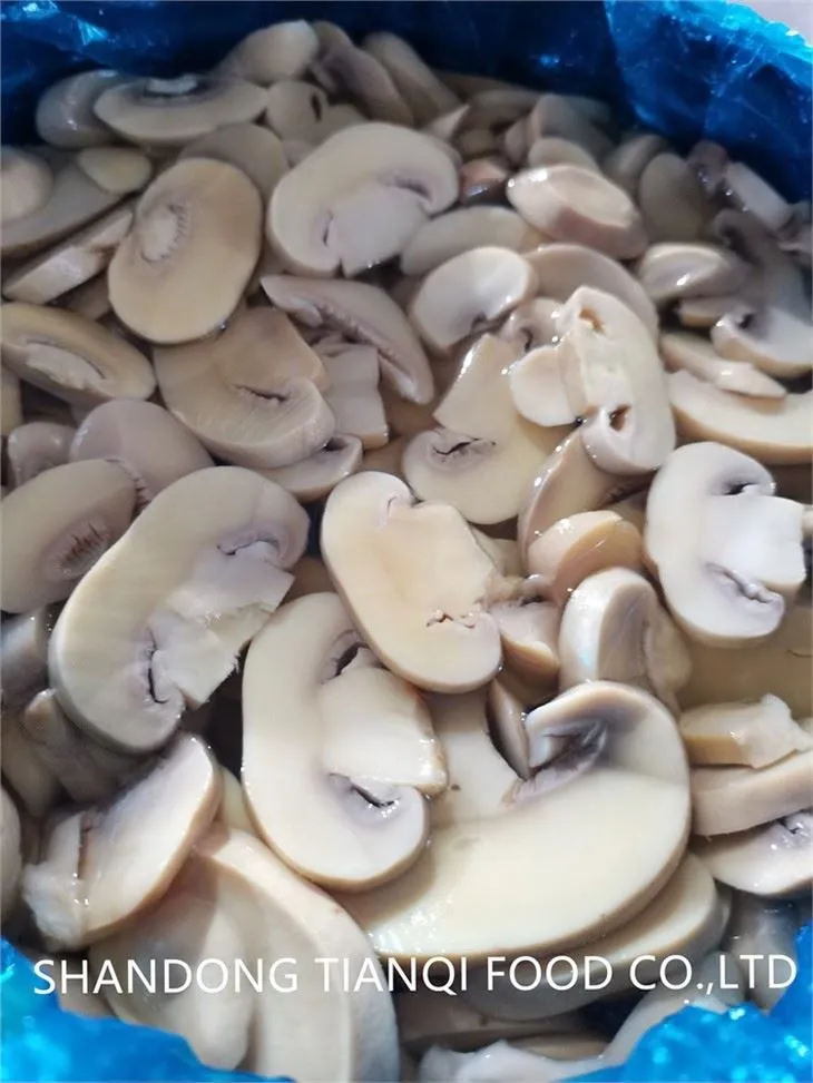 Pickled Champignon Mushroom in salted water in Drum
