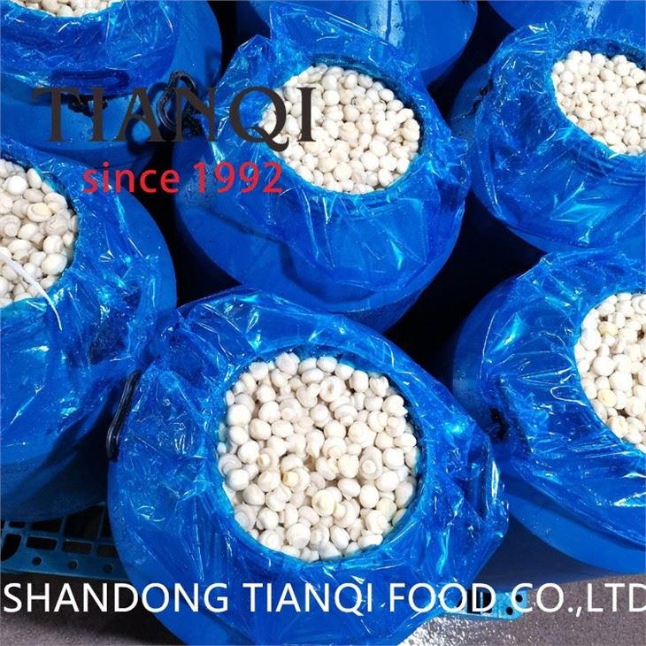Whole vinegar mushroom in plastic drums