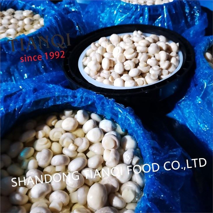 Whole white champignon mushroom in vinegar in plastic drums